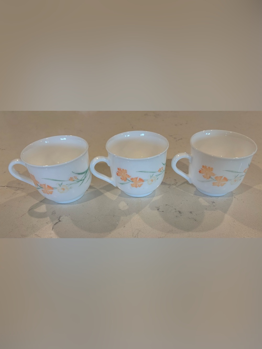 Arcopal France Set of Three Mugs/Tea Cups Wildflowers